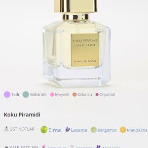 ادکلن اورجینال برند X you perfume کد 858115969